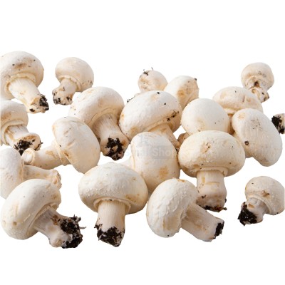 Шампиньоны свежие 500 г - купить в Луково